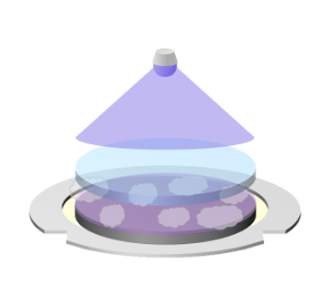 通過SELFA™實(shí)現(xiàn)的載體玻璃再利用效果